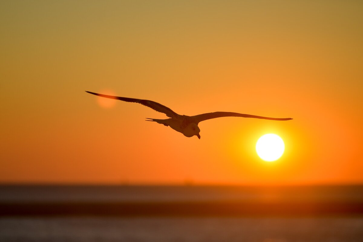 Фото с pixabay.com