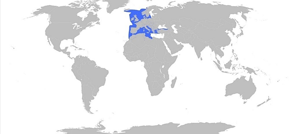 ареал обитания 