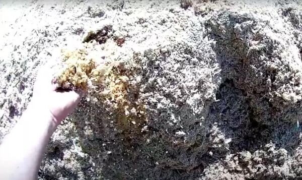 Опилки с известью или гипсом