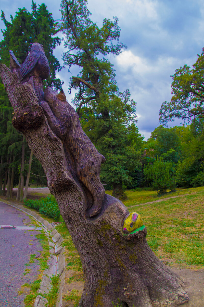 мишка рядом с дорогой к центру парка