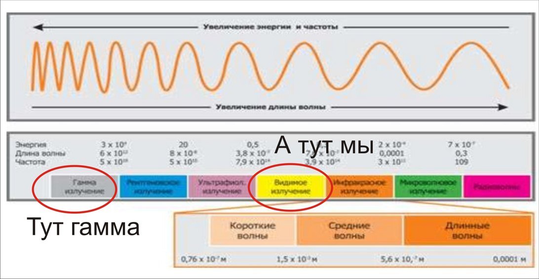 Бизнес и конференц-отель «Измайлово» Гамма