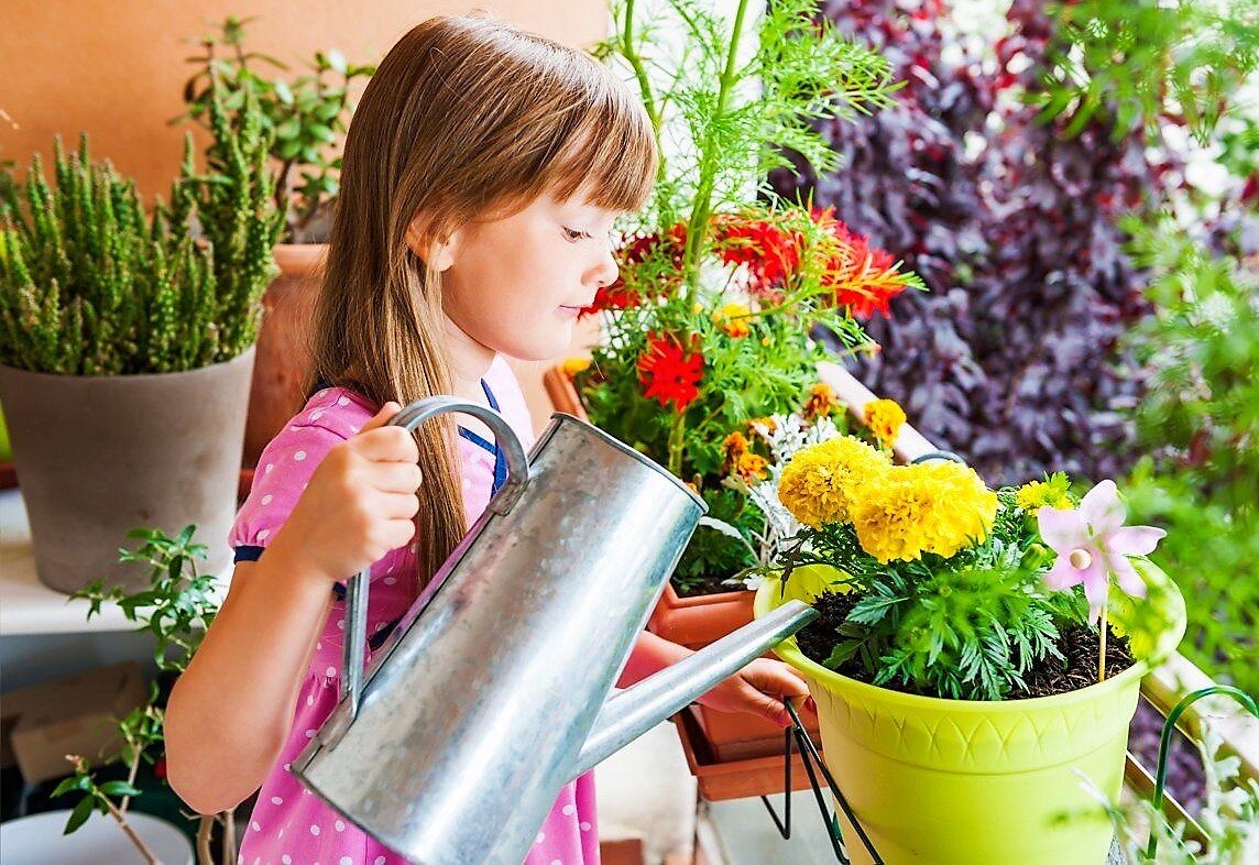 Фото для иллюстрации рассказа из свободных источников