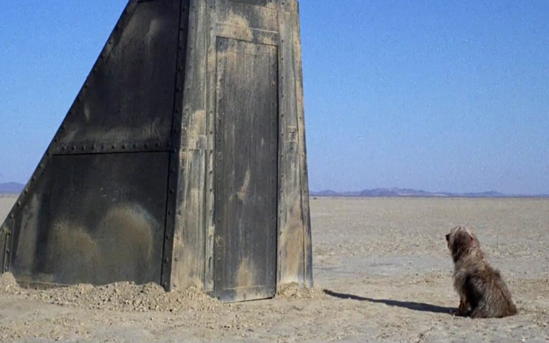 Кадр из фильма «Парень и его пёс» (1974)