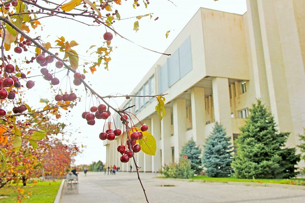 Volsu. Волгоградский государственный университет. Волгоград Волга. ВГУ Волгоград. Волгу Волгоград внутренний двор.