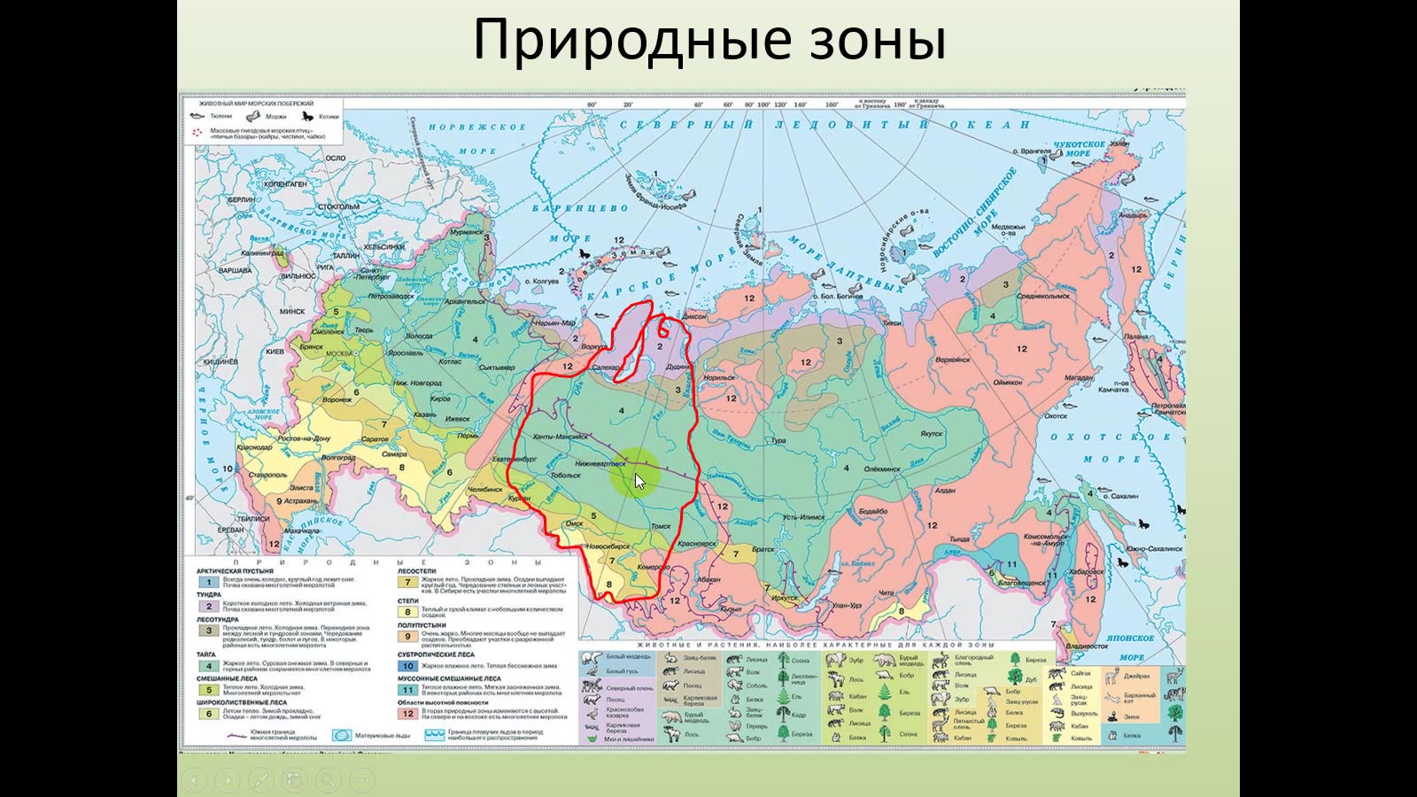 Сибирь географическое положение 9 кл