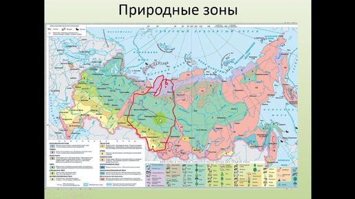 Урок географии 9 класс сибирь географическое положение
