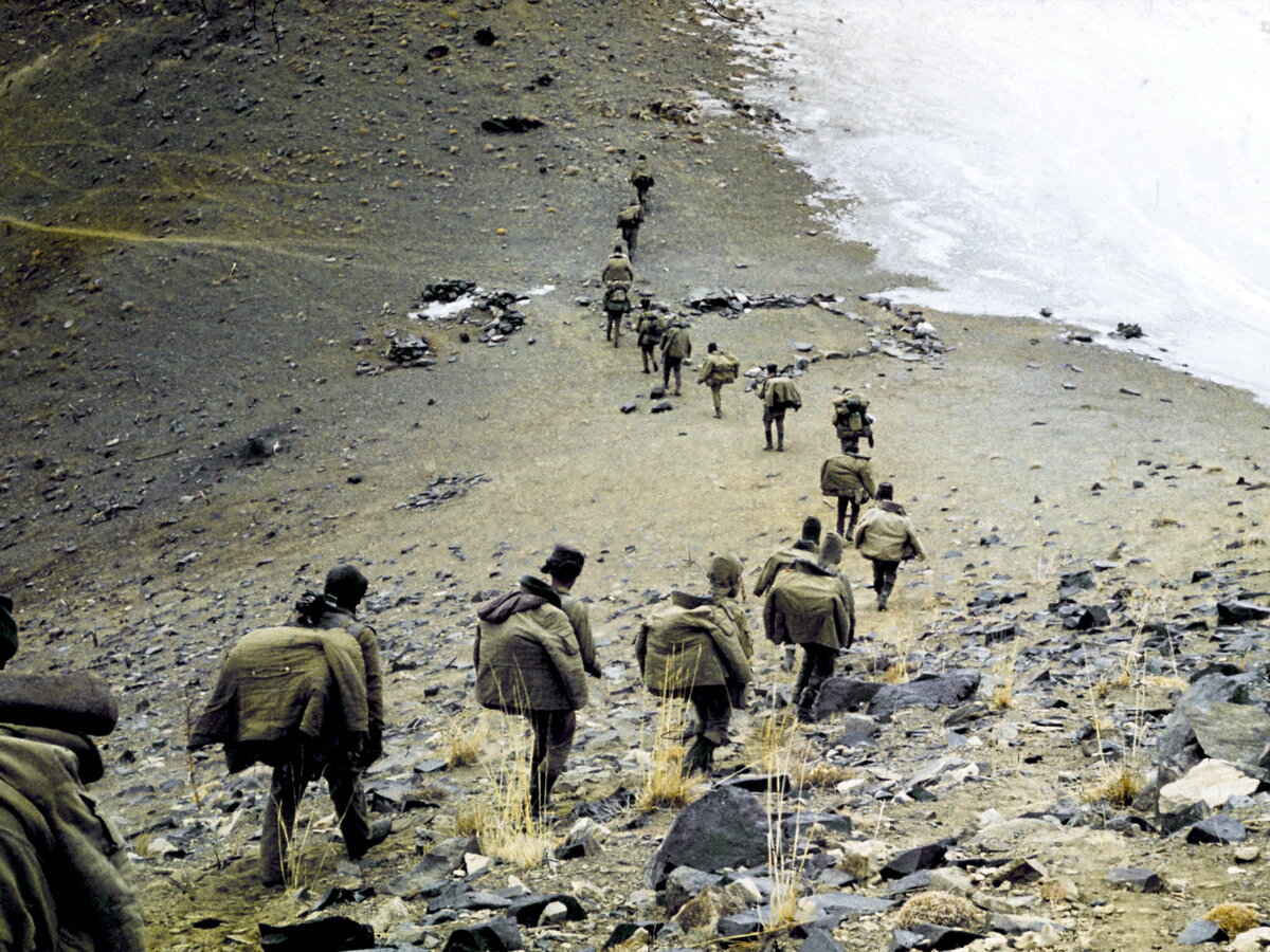 Яндекс картинки. Свободный доступ.