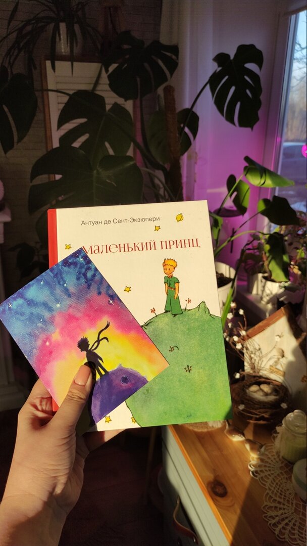 Сегодняшнее моё утро началось с совсем не детской книжкой Антуана де Сента-Экзюпери "Маленький принц". 