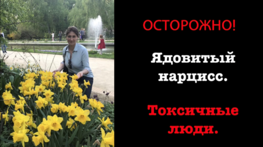 Как защититься от нарцисса. Нарцисс человек. нарциссы токсичные люди. токсичные отношения нарцисса. муж нарцисс с женой.