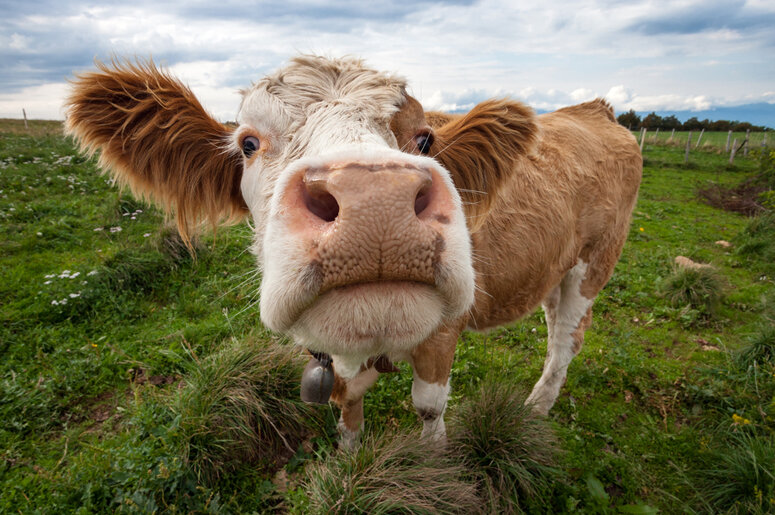 фото с сайта Моя планета