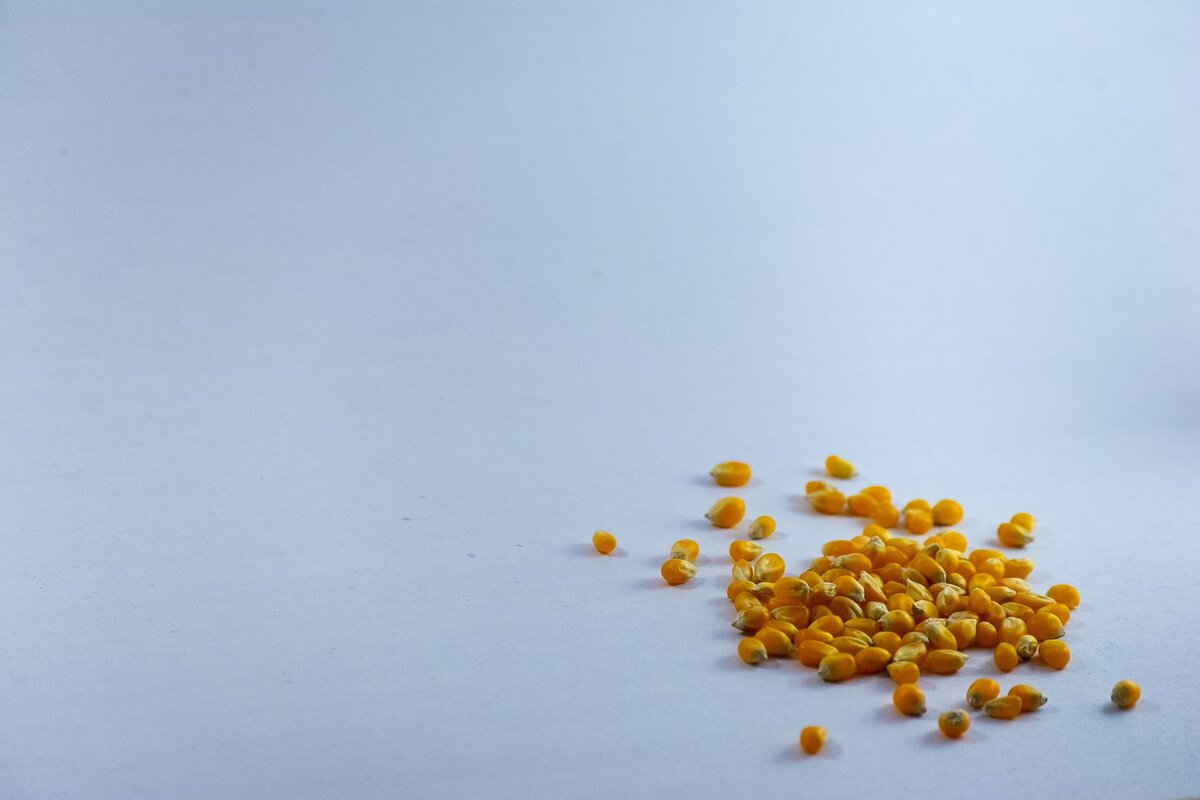 Изображение взято из фотобанка Pixabay.com