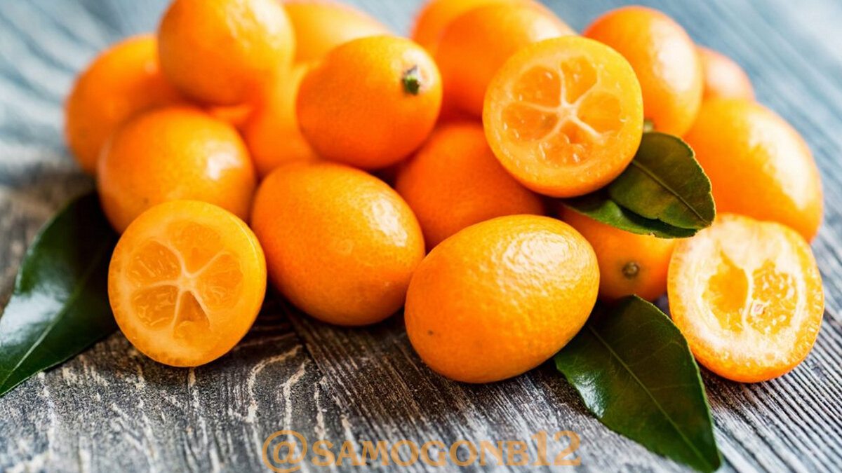 Свежие плоды кумкват - фото автора ©