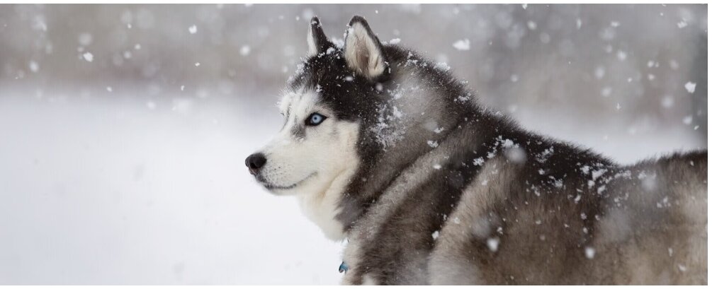 Взято из открытого источника