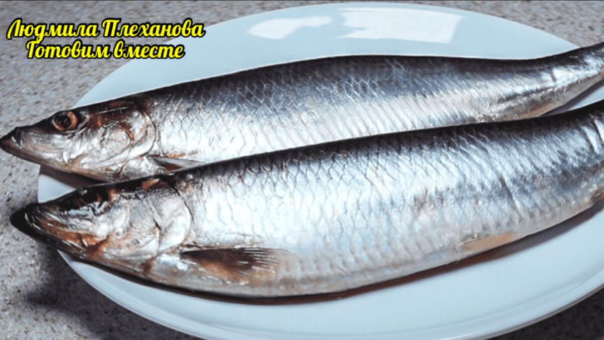 Селедка живая. Сельдь 400-500гр олюторская. Сельдь атлантическая слабосоленая. Волжская селедка. Сельдь иваси.