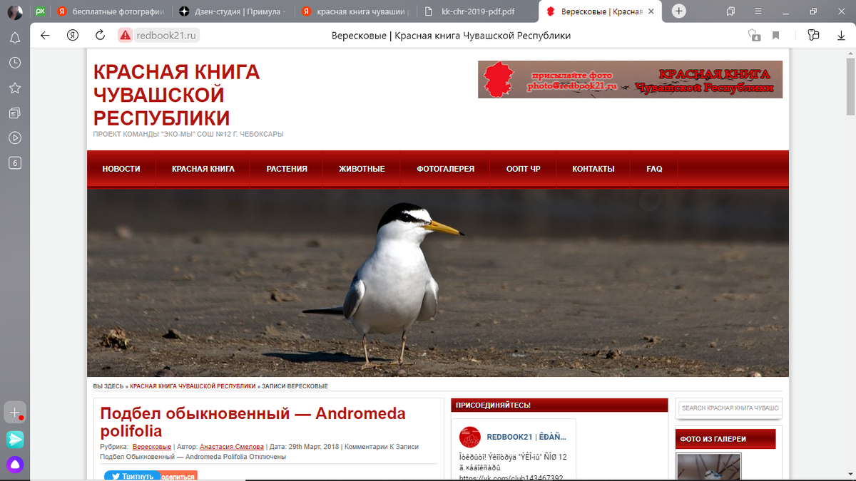 скрин сайта сош №12 Чебоксары Чувашия