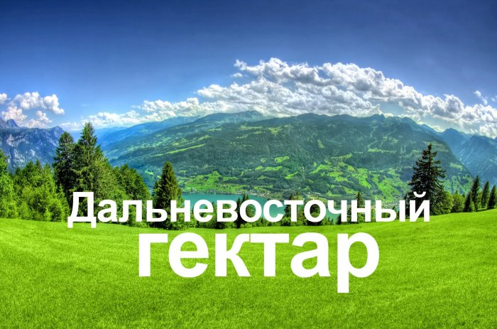 Минвостокразвития и Арктики РФ: в селе Дальневосточное объединили 200 гектаров  