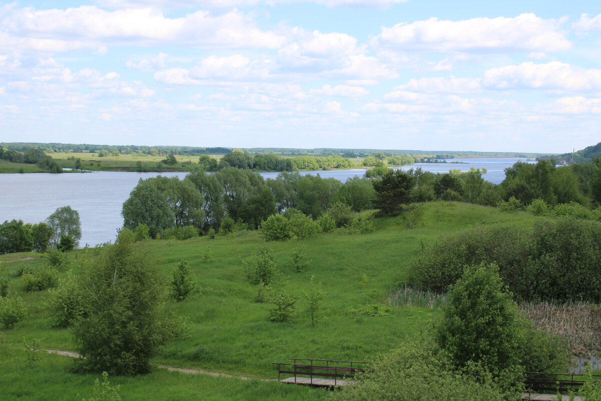 Село Константиново черемуха