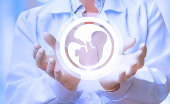 Фото взято из свободных источников