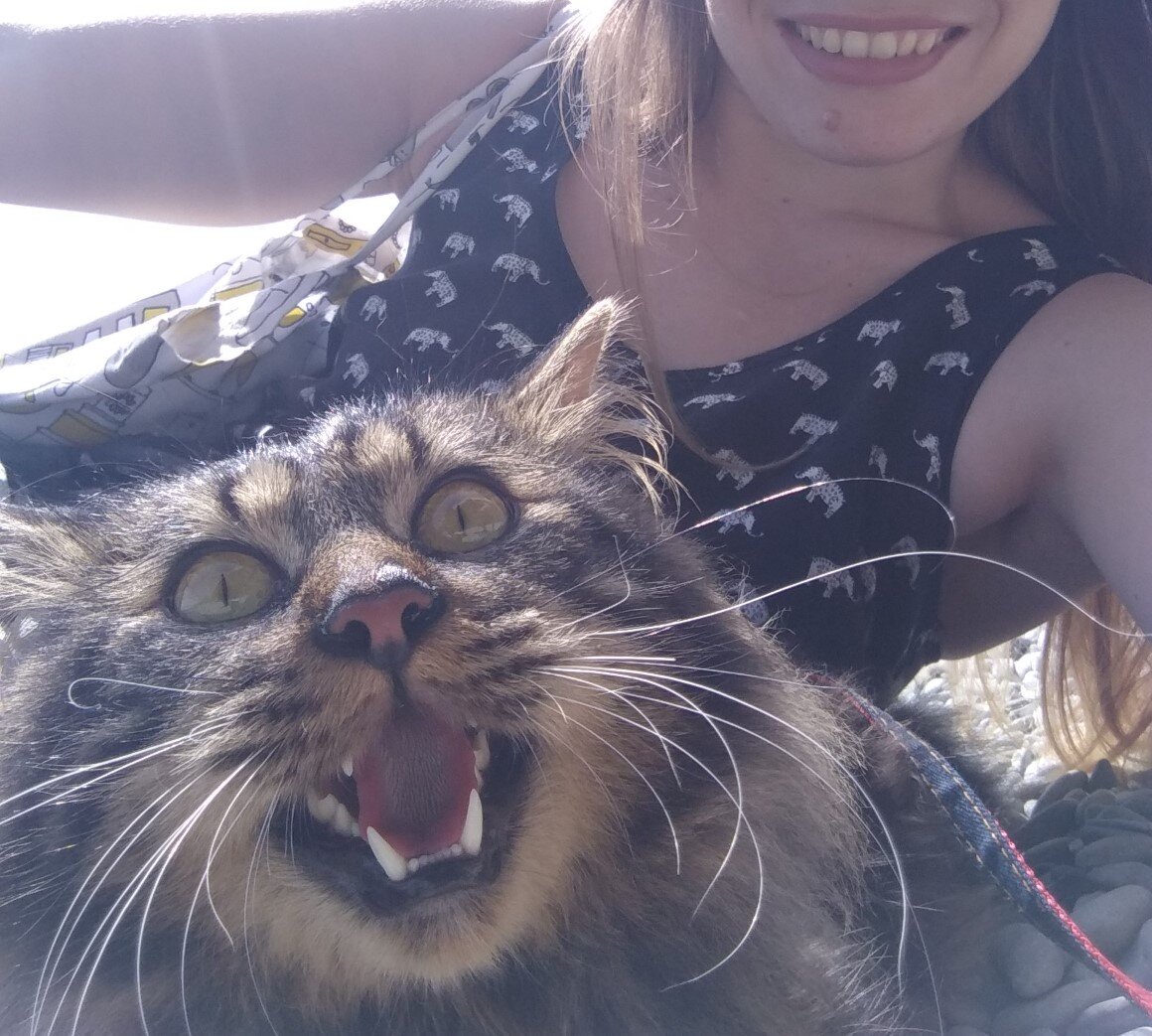 Кот не выгорел, коту жарко, но фотка в тему.))