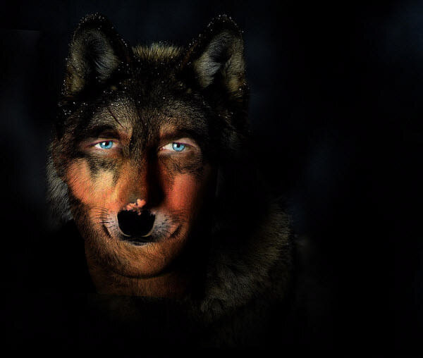 ...НЕ оборотень...