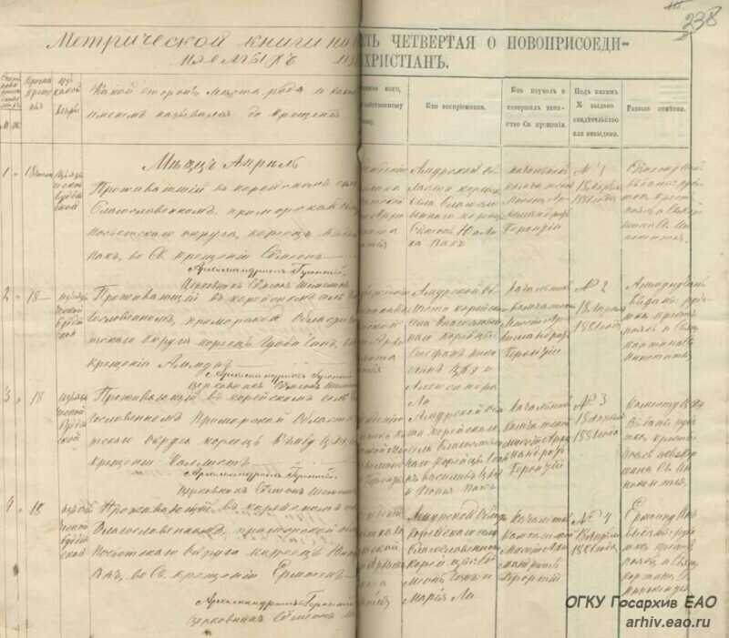 Записи о новоприсоединяемых из нехристиан в метрической книге Нагибовской церкви. 1881 г.  Фото: Госархив ЕАО