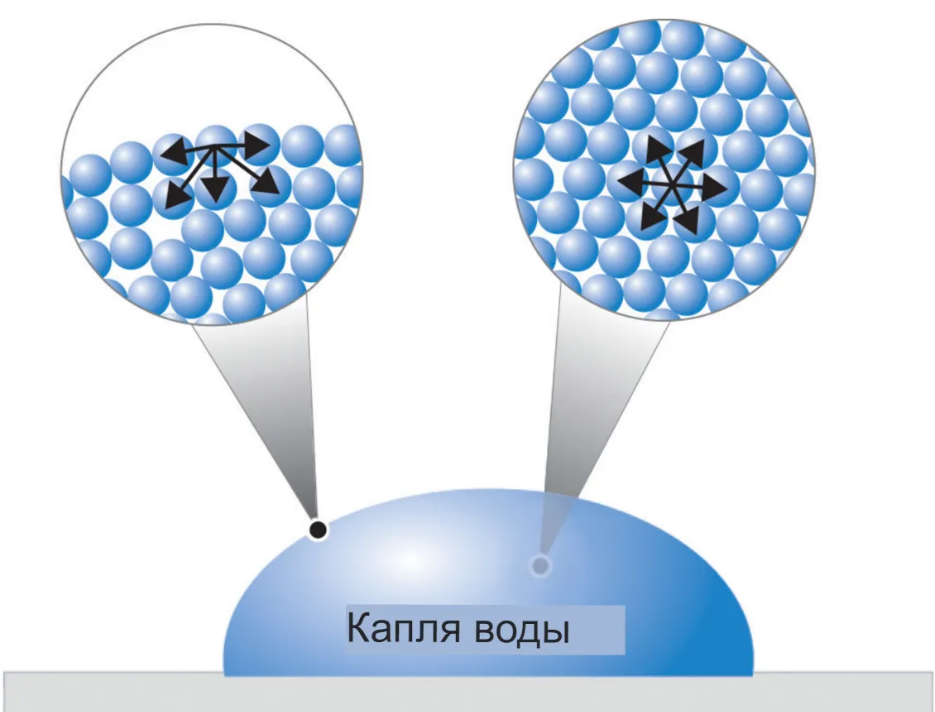 Когезия молекул воды внутри капли и на ее поверхности