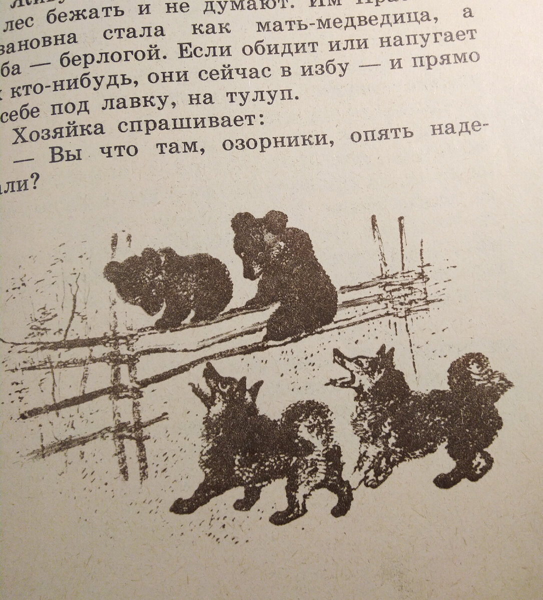 Евгений Чарушин - самый яркий и совершенно невероятный детский иллюстратор  | Наталья Почуева 