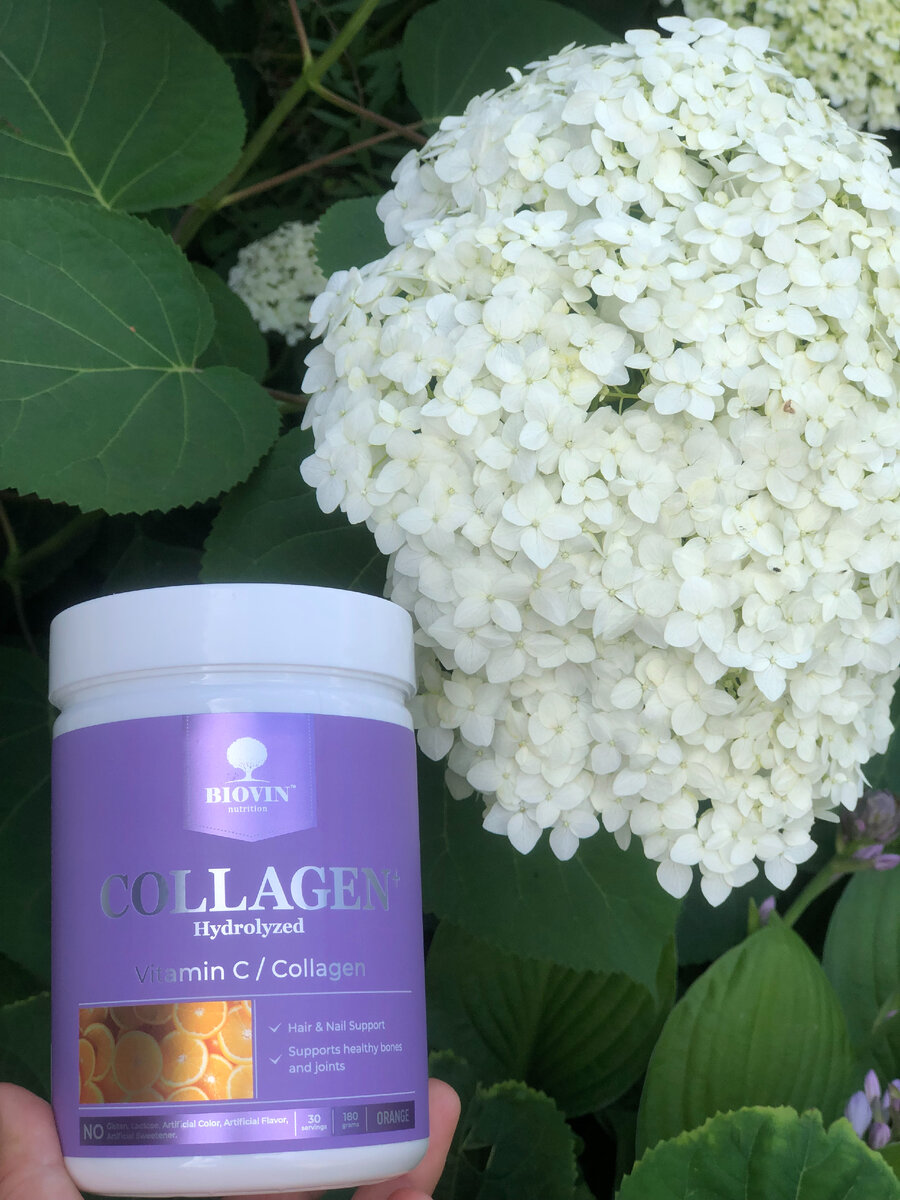 Коллаген от Biovin