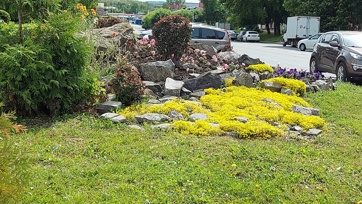 Городская клумба (фото автора канала)
