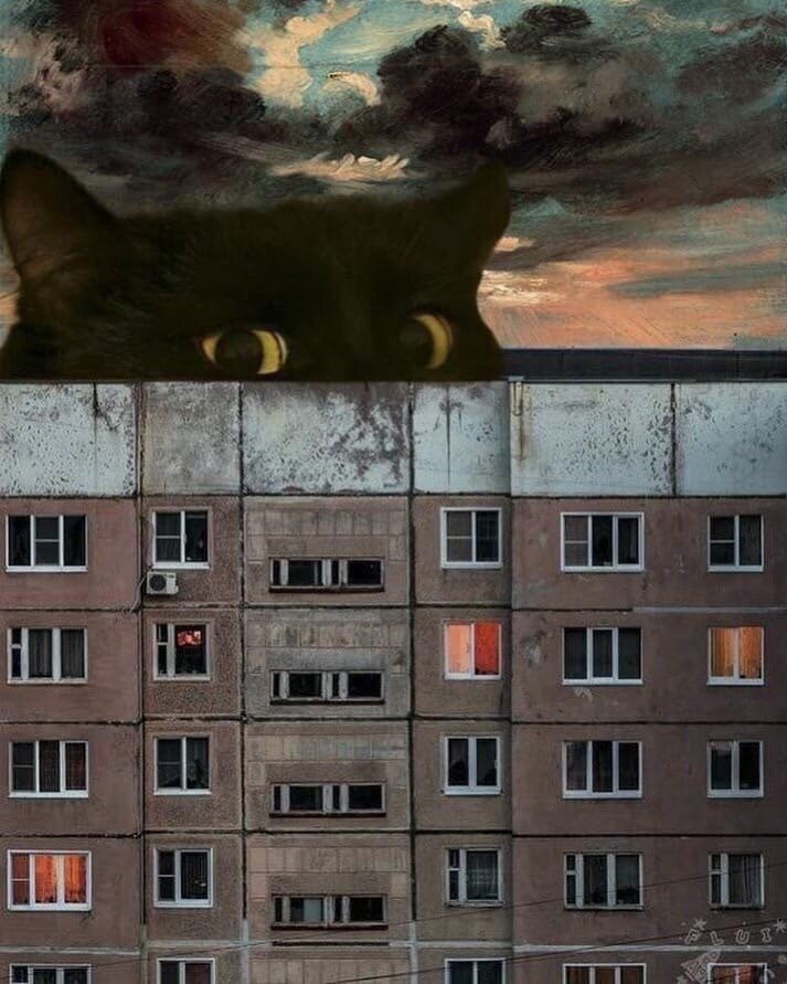 Продать квартиру в Донецке (ДНР)