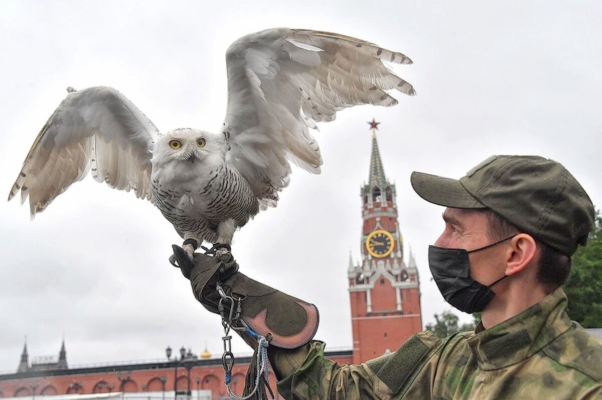 охрана кремля в москве