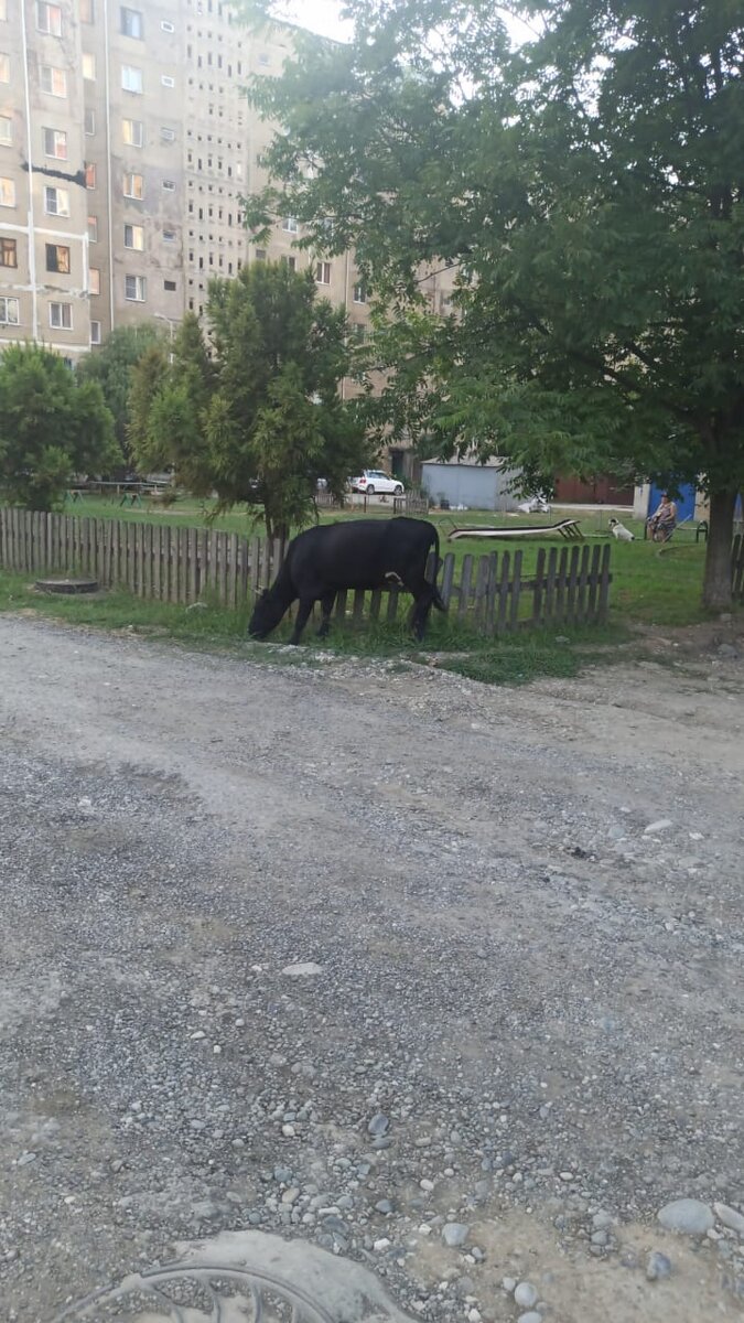 Примерно так) 