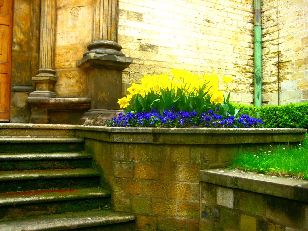 Север или Юг?