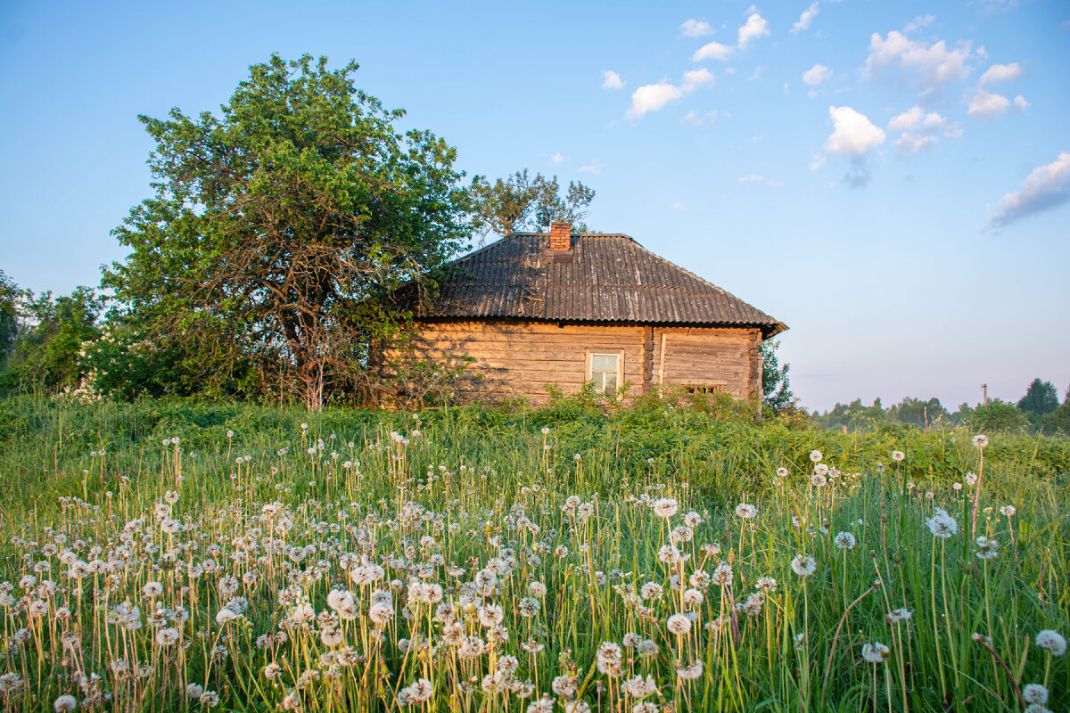 Дом в Приставках