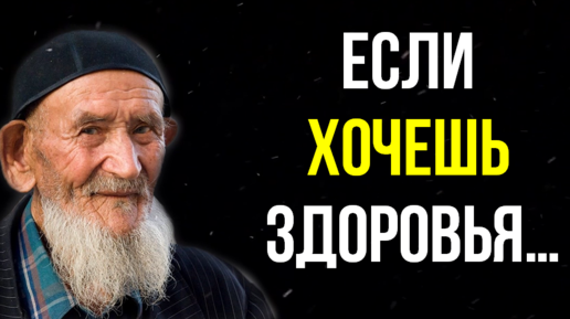 Узбекские пословицы и поговорки | Народная Мудрость | Твои Тесты | Дзен