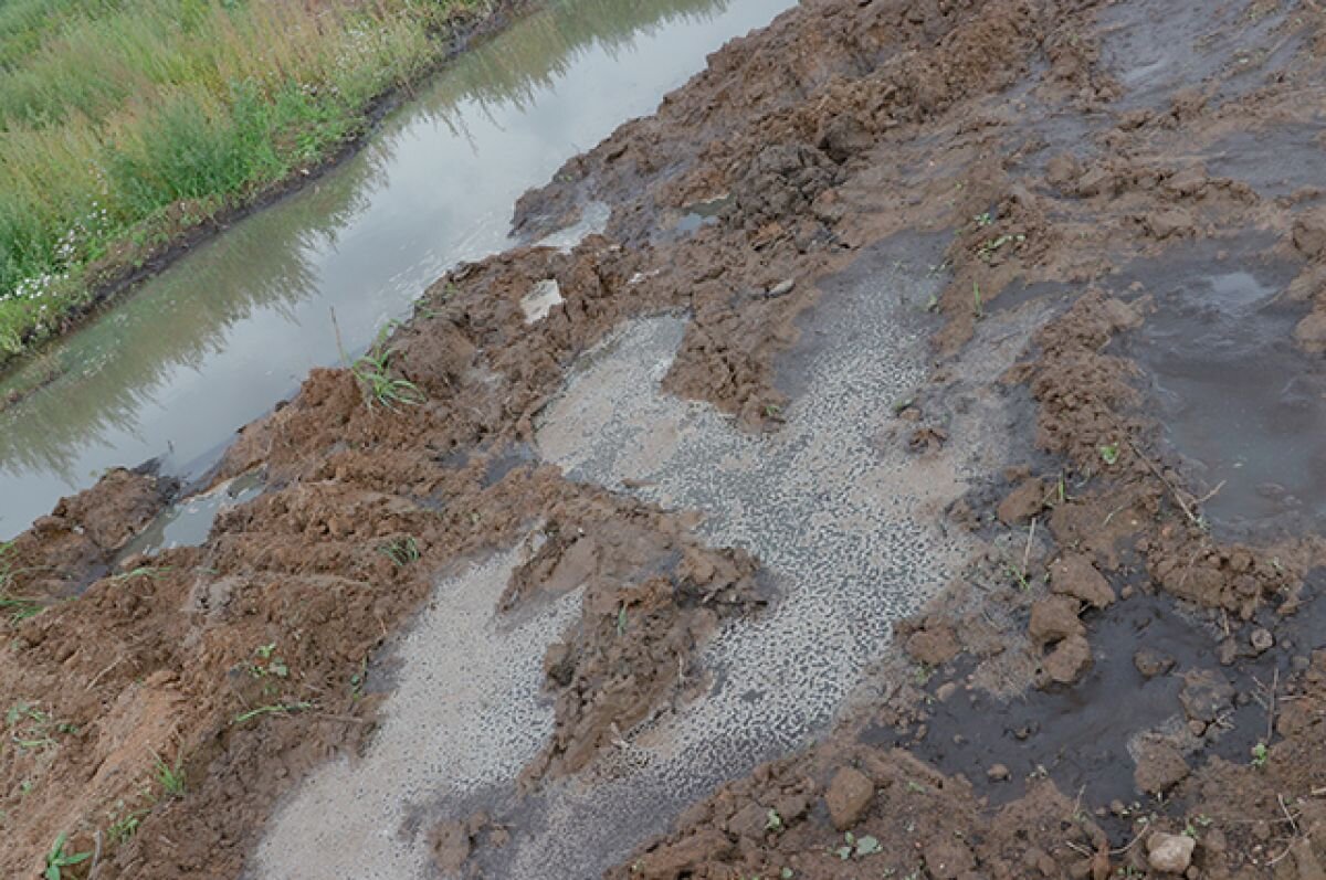    Нечистоты заливают дома в посёлке Желнино под Дзержинском