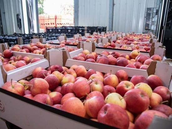     Фото: //t.me/va_konstantinov/