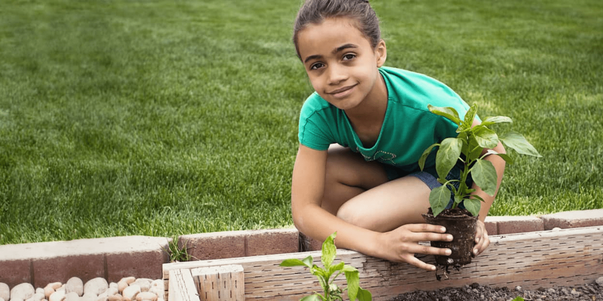 Фото: Virginia Agriculture in the Classroom 