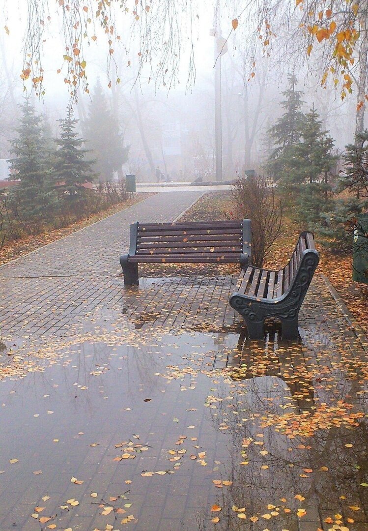 иллюстрация из яндекс картинки.
