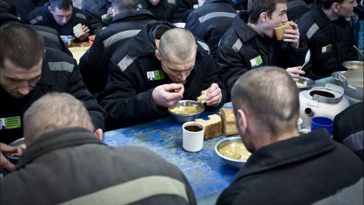 4 попали в тюрьму. Колония строгого режима. Колония строго режымса. ИК общего режима. Колония общего режима.