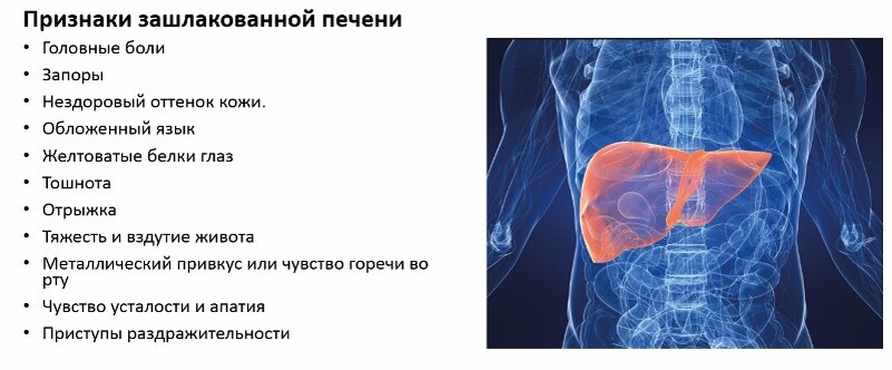 Болит ли печень. Если болит печень симптомы.