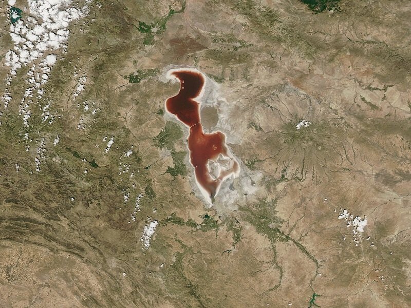     Вода в иранском озере окрасилась в цвет крови: жуткое зрелище