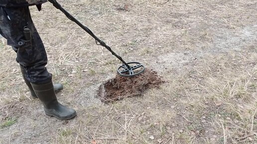 ВЫБРАЛИСЬ СЕМЬЕЙ НА ПРОГУЛКУ С МЕТЕЛЛОИСКАТЕЛЕМ