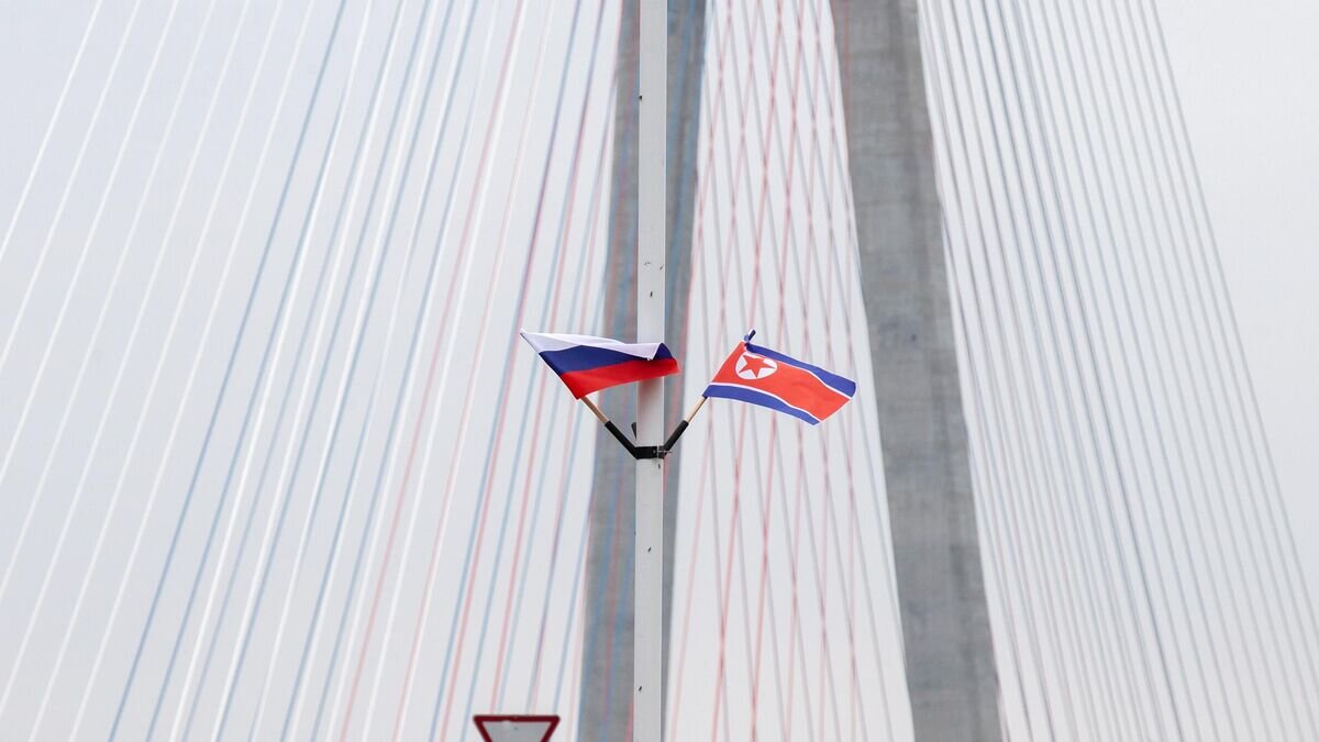   Флаги России и КНДР во Владивостоке© РИА Новости / Татьяна Меель