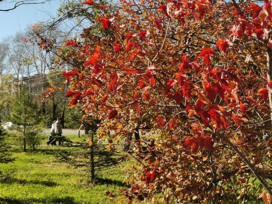     Озвучен прогноз погоды в Хабаровске на 14 октября Ольга Григорьева