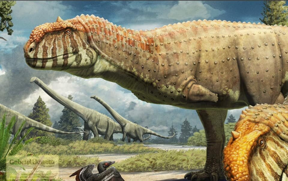 - Товарищ директор, башенные краны подогнали, стройка начнётся в установленный срок.   - Отлично, приступайте.