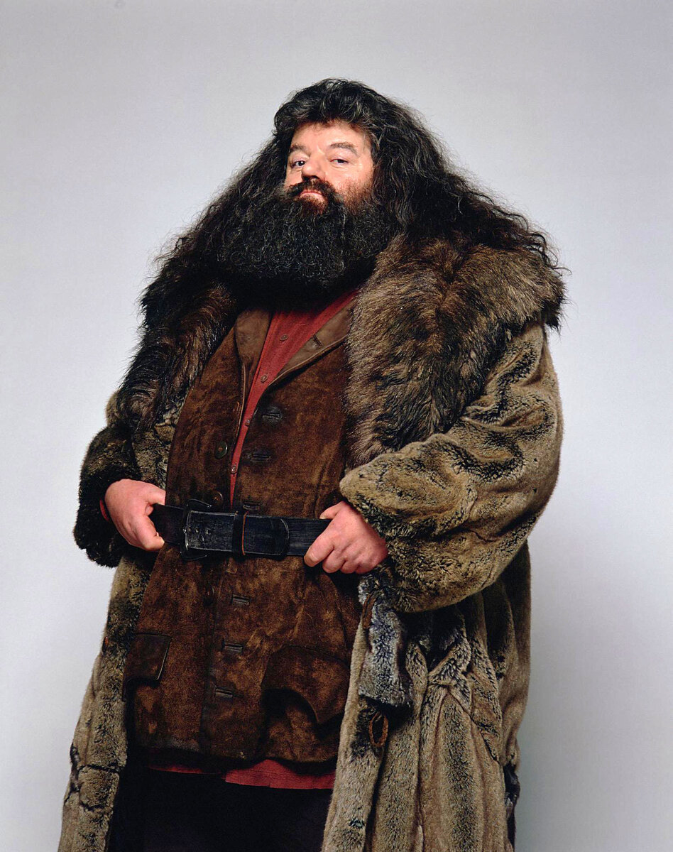    Робби Колтрейн в роли Рубеуса ХагридаLegion-media