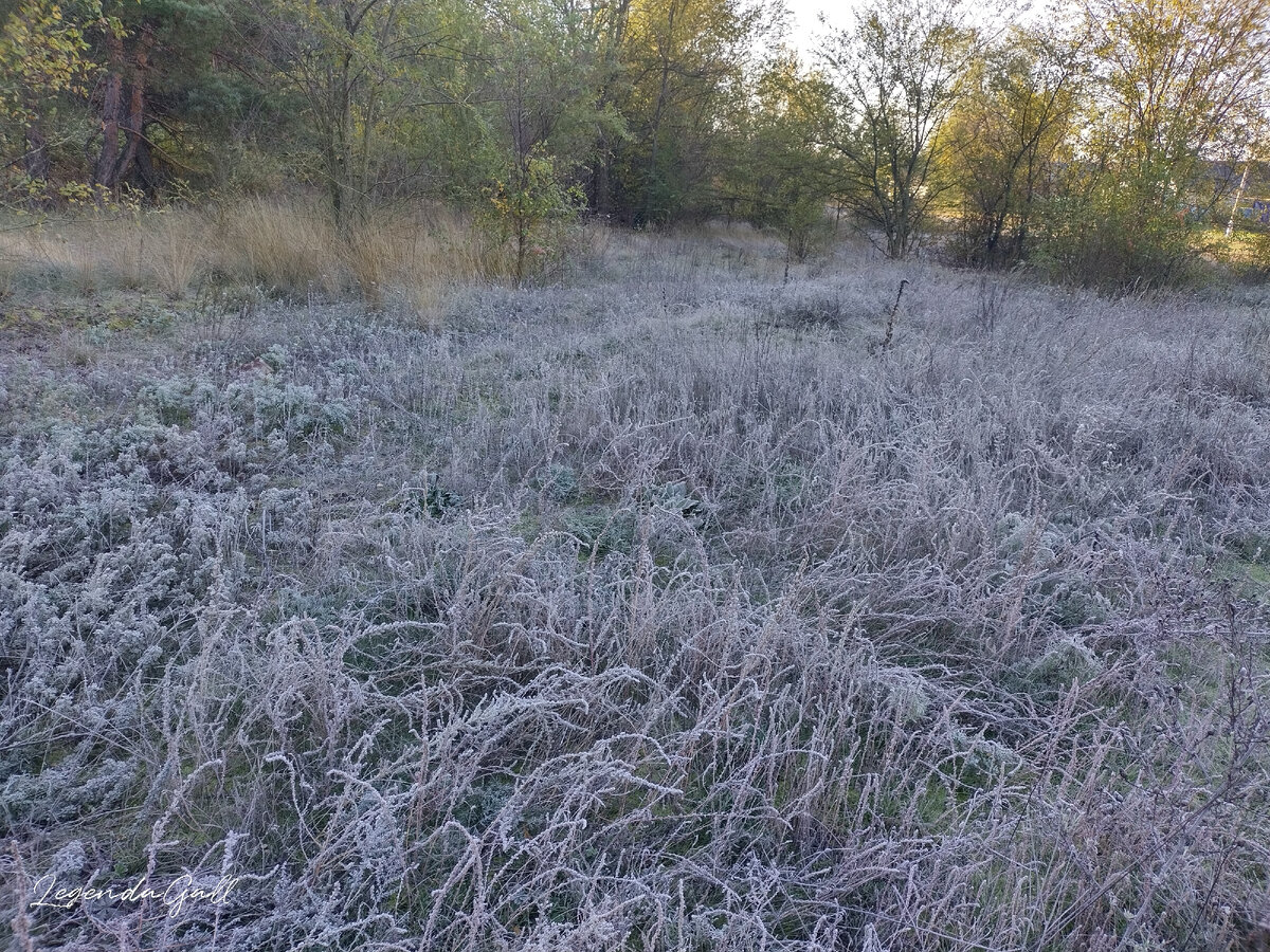 Красиво и холодно