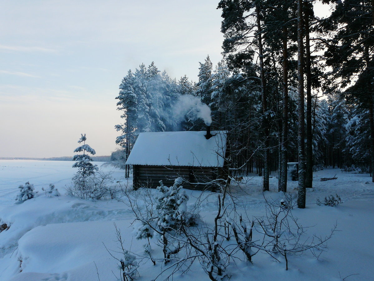 фото из интернета