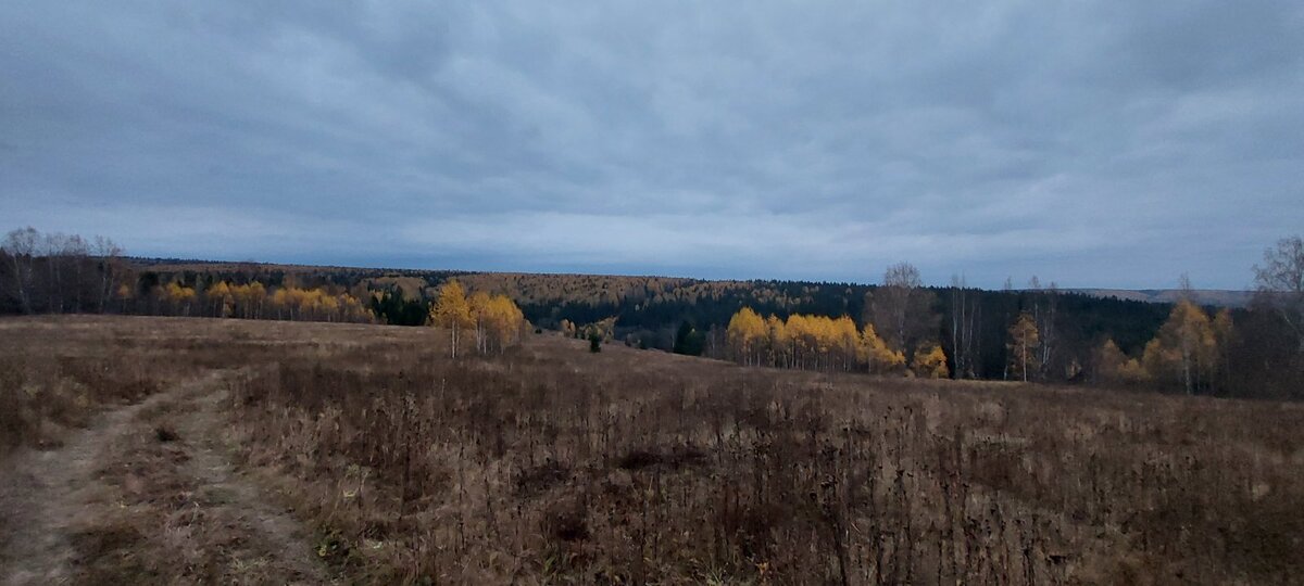 Осень за городом.